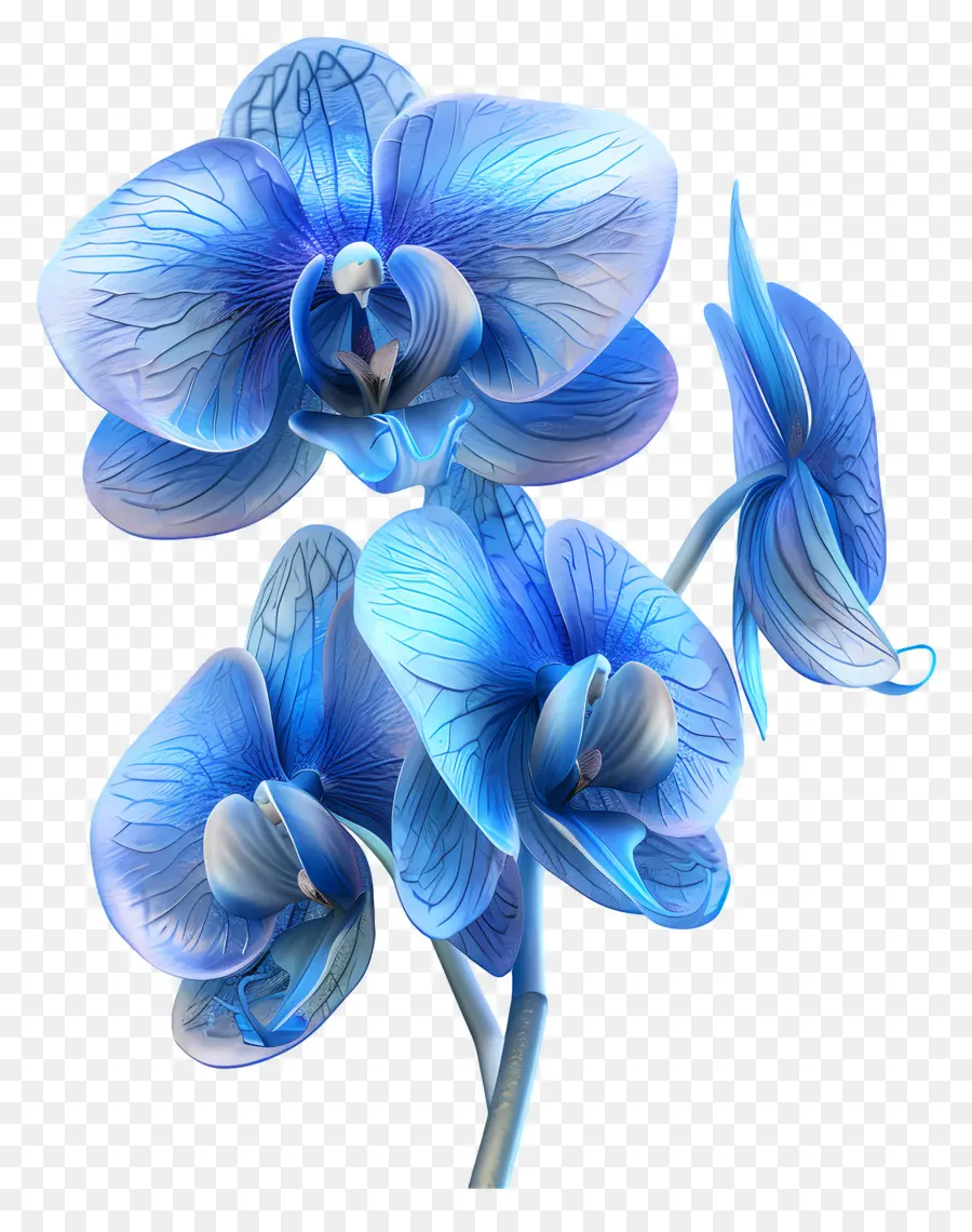 Orchidée Bleue，Pétales PNG