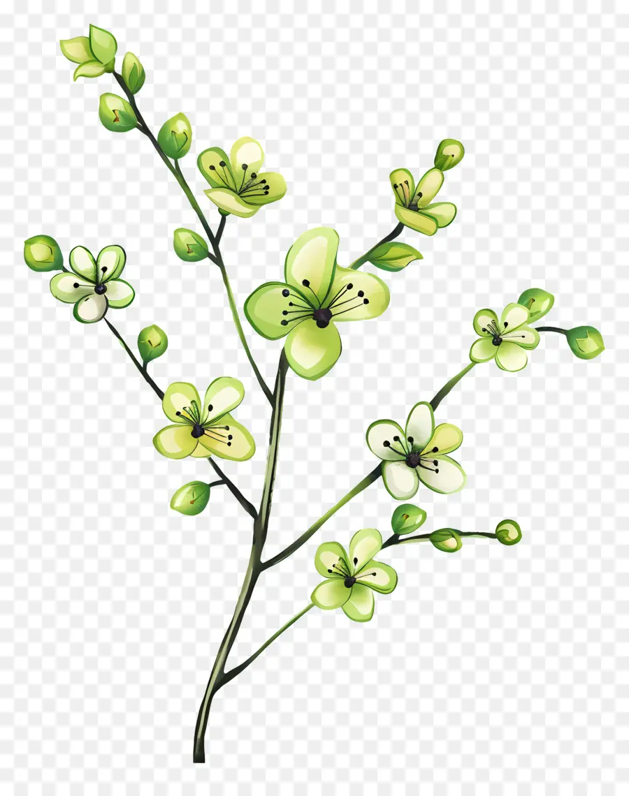 Fleur Verte，Fleurs Vertes PNG