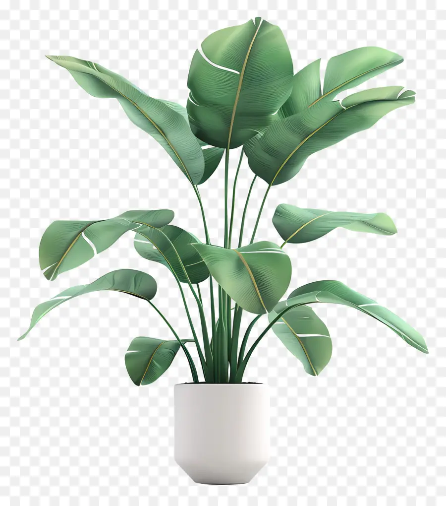 Plante Tropicale En Pot，Plante En Pot PNG