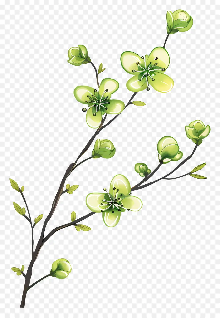 Fleur Verte，Fleurs Vertes PNG