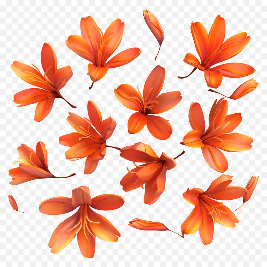 Fleurs De Safran，Fleurs Oranges PNG