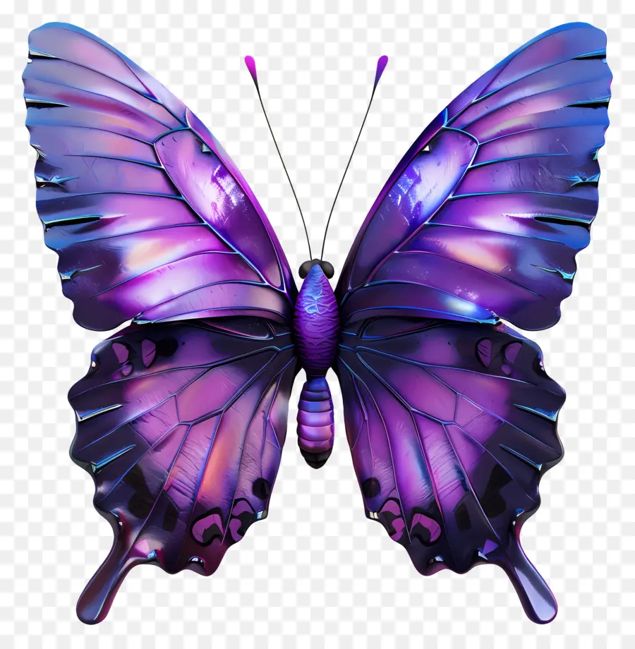 Papillon Violet，Papillon Coloré PNG