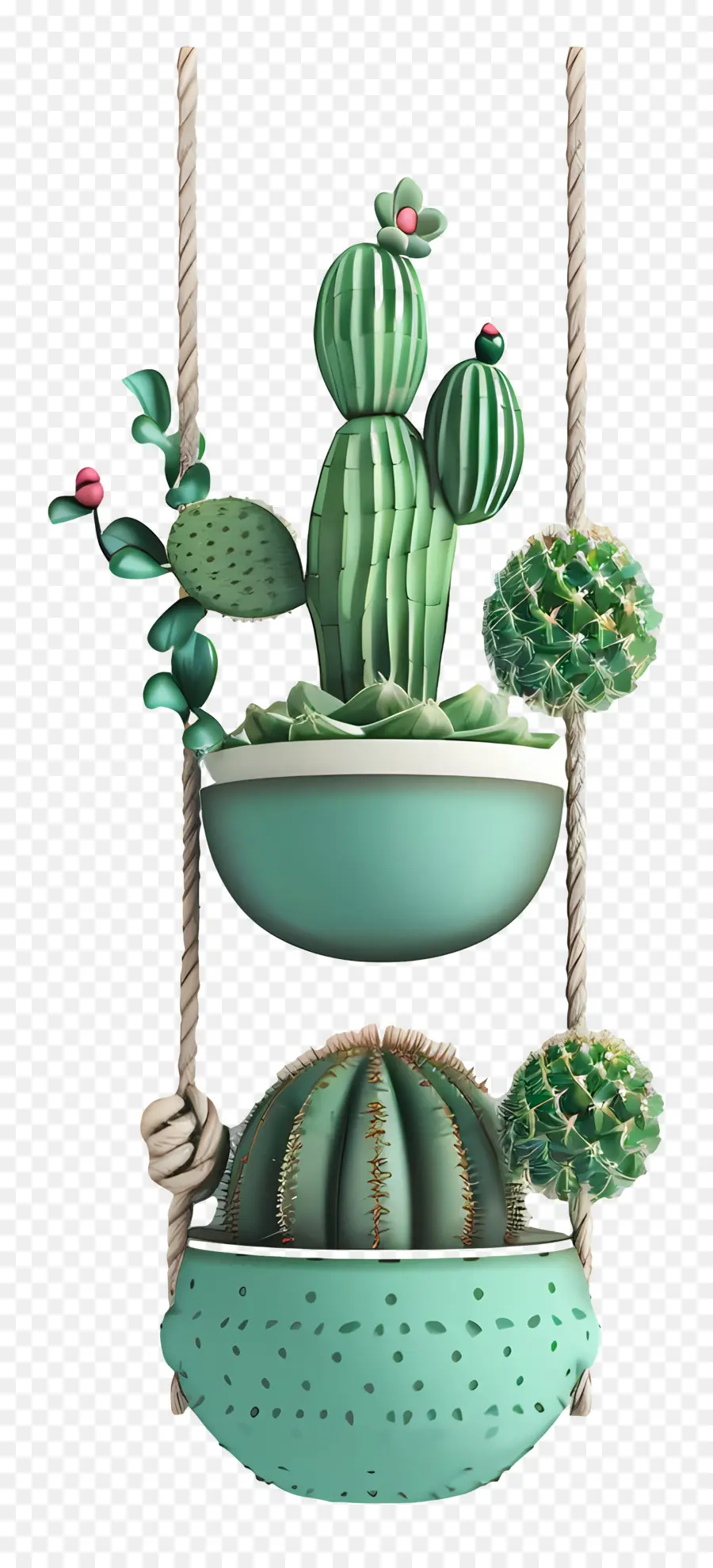 Cactus Suspendus，Plantes De Cactus PNG