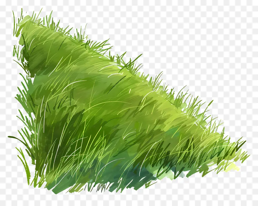 Pente En Herbe，Herbe Verte PNG