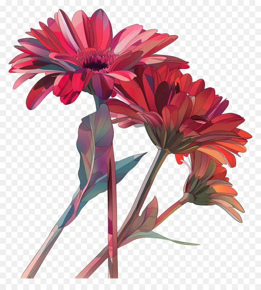 Fleurs De Gerberas，Fleur D'oranger PNG