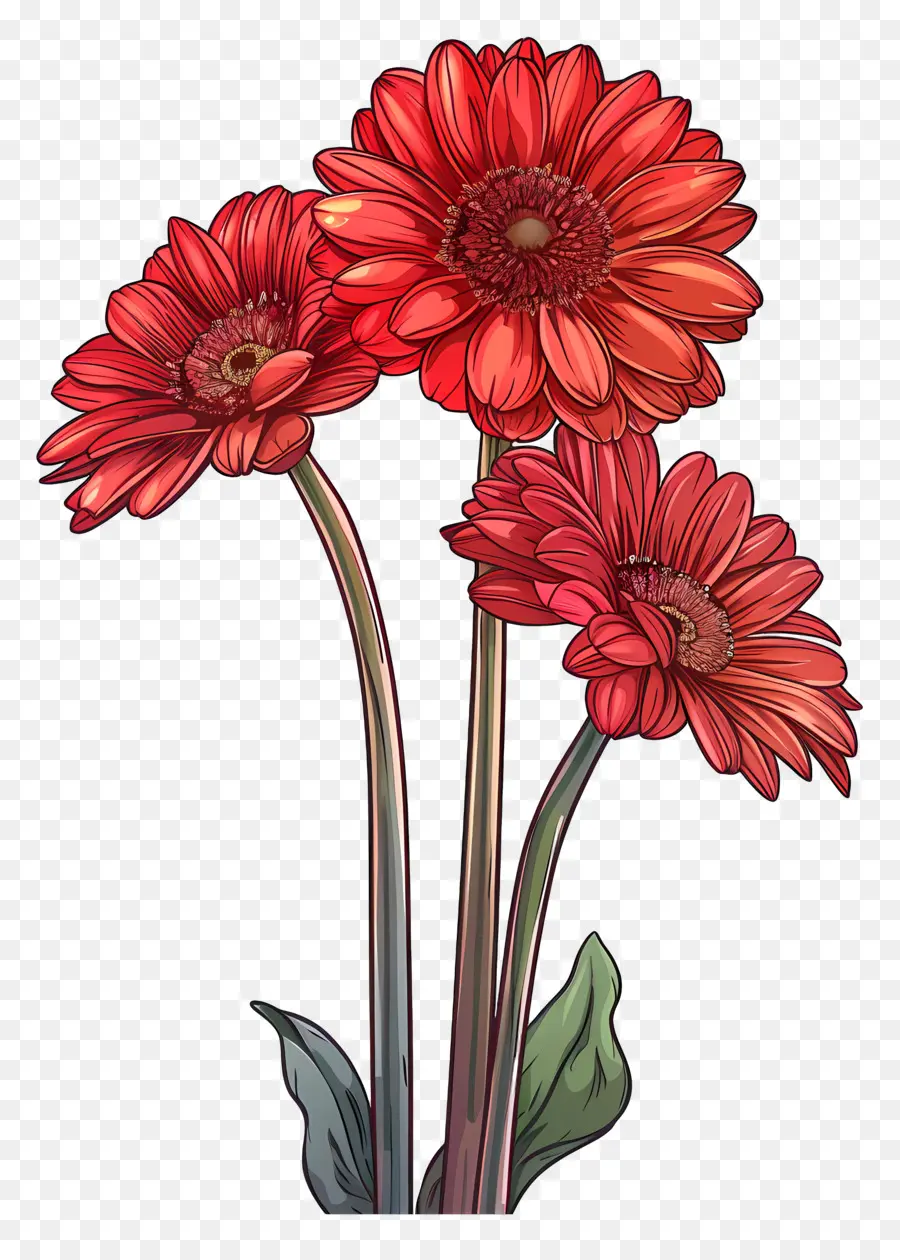 Fleurs De Gerberas，Fleurs Rouges PNG