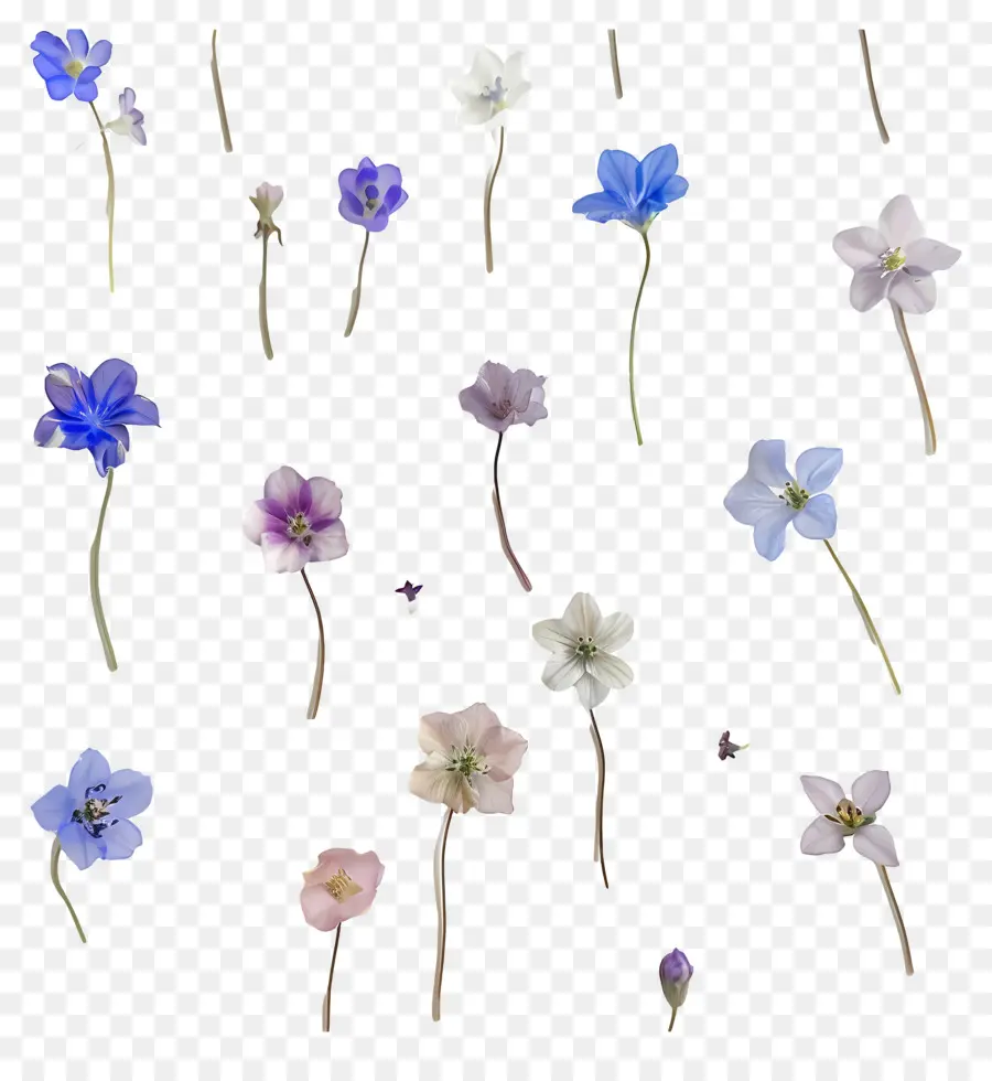 Petites Fleurs，Fleurs Aquarelles PNG