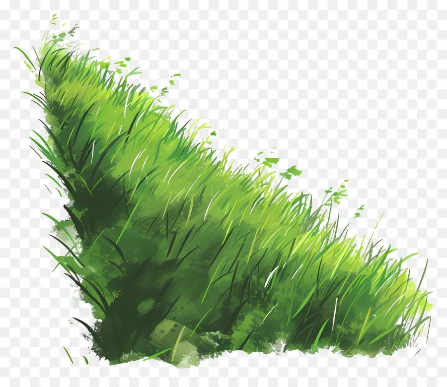 Pente En Herbe，Herbe Verte PNG