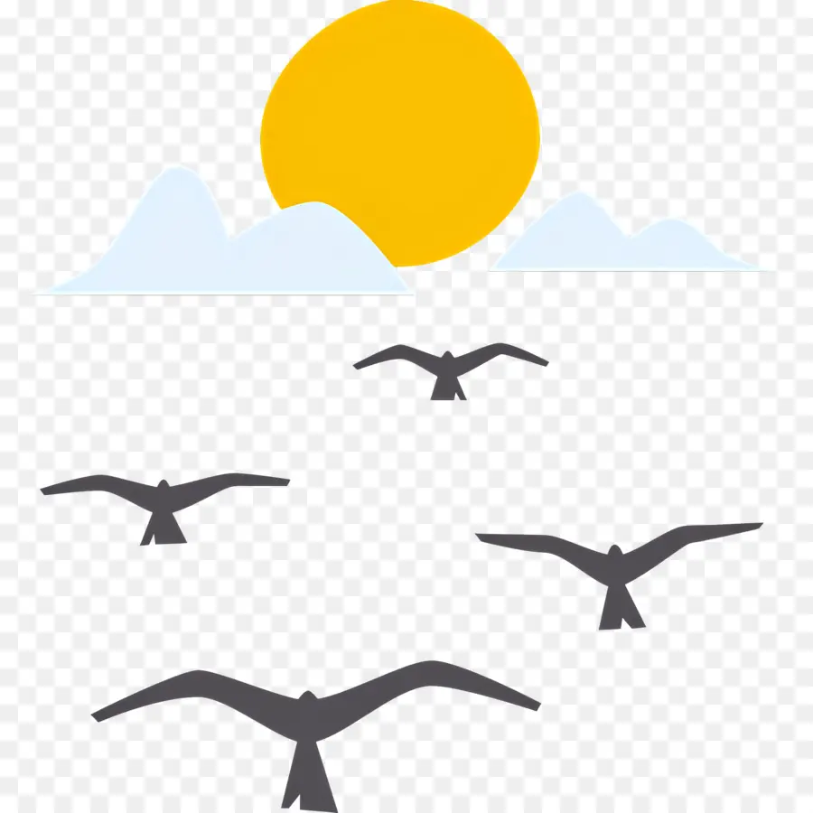 Oiseaux Volants，Nature PNG