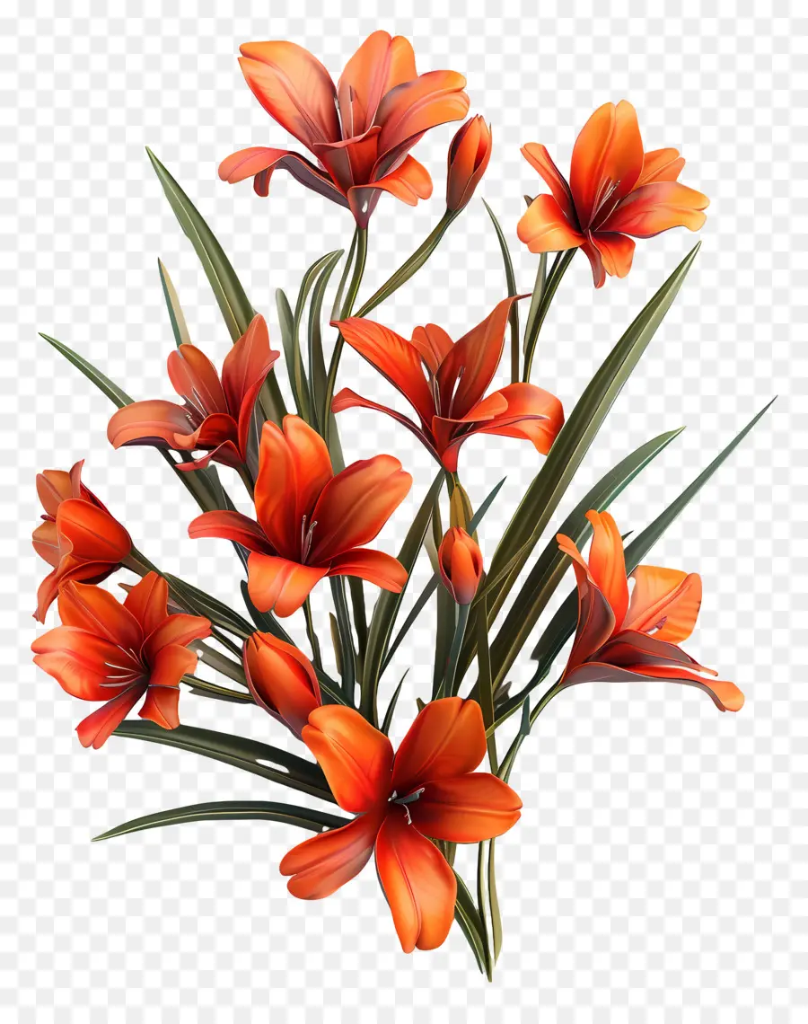 Fleurs De Safran，Fleurs Rouges PNG