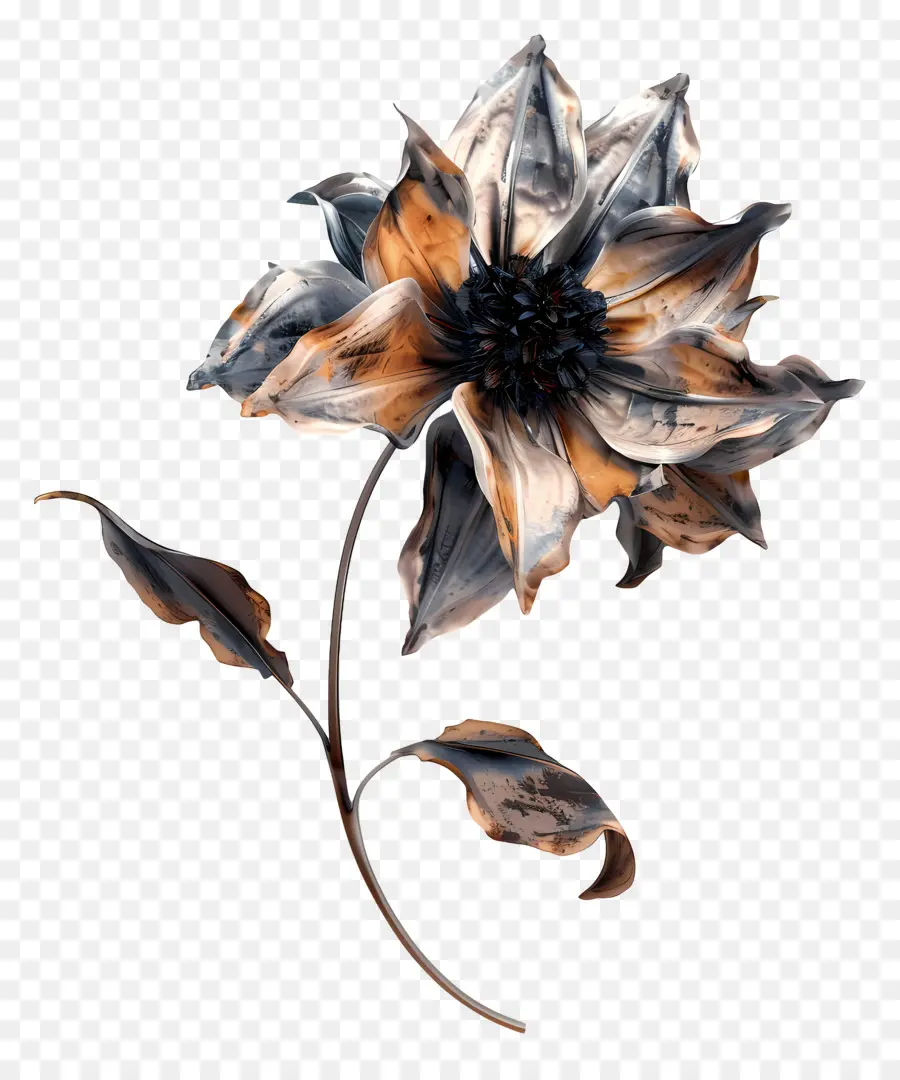 Fleur Morte，Fleur PNG