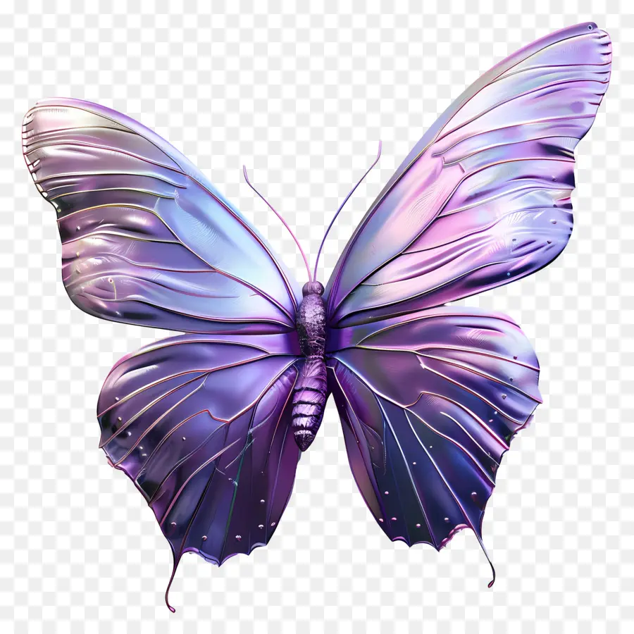 Papillon Violet，Papillon Coloré PNG