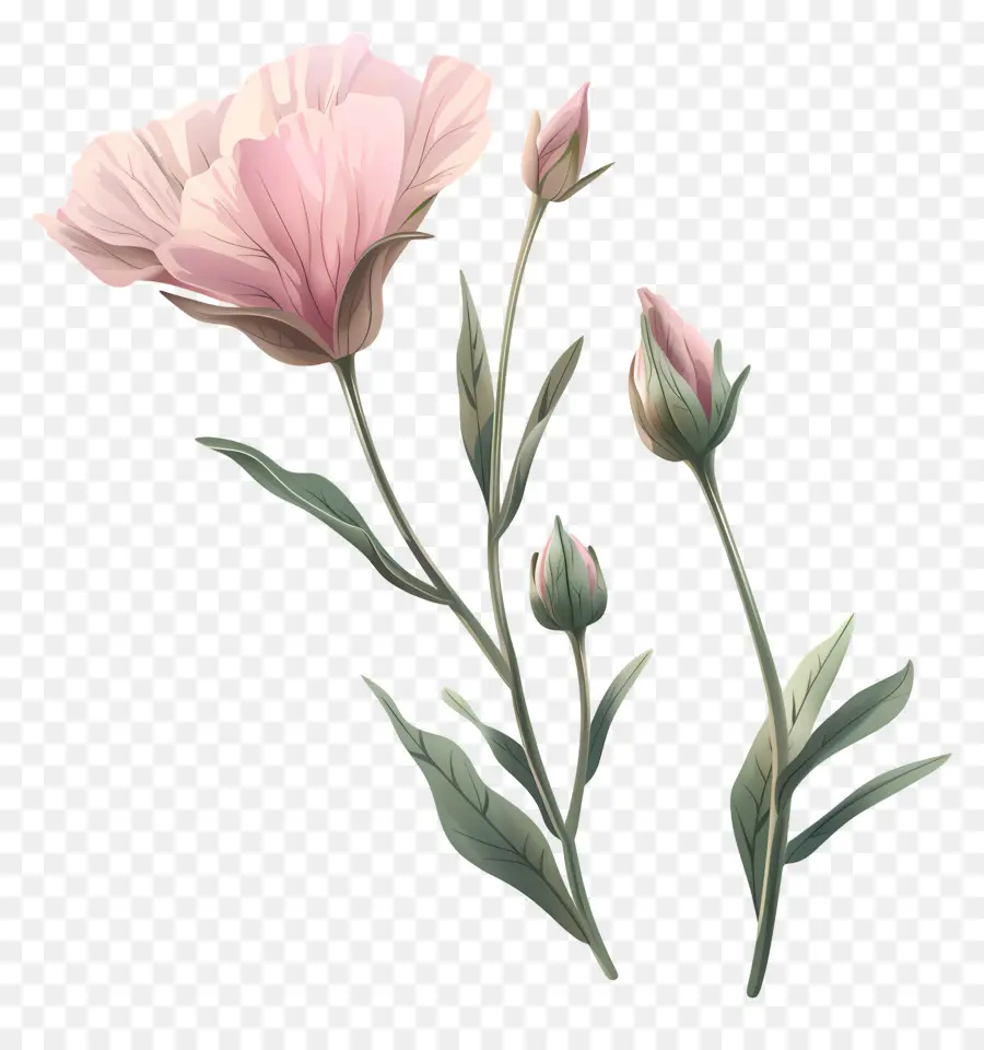 Fleurs Pastel，Fleur Rose PNG