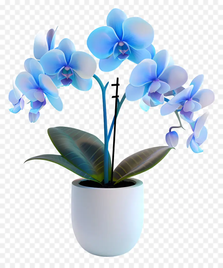 Orchidée Bleue，Fleur PNG