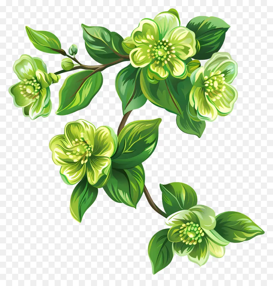 Fleur Verte，Fleurs Vertes PNG