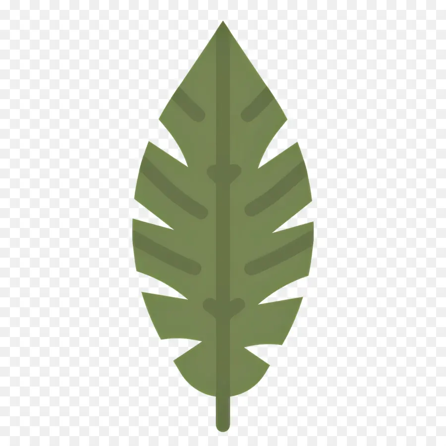 Feuille De Bananier，Feuille Verte PNG