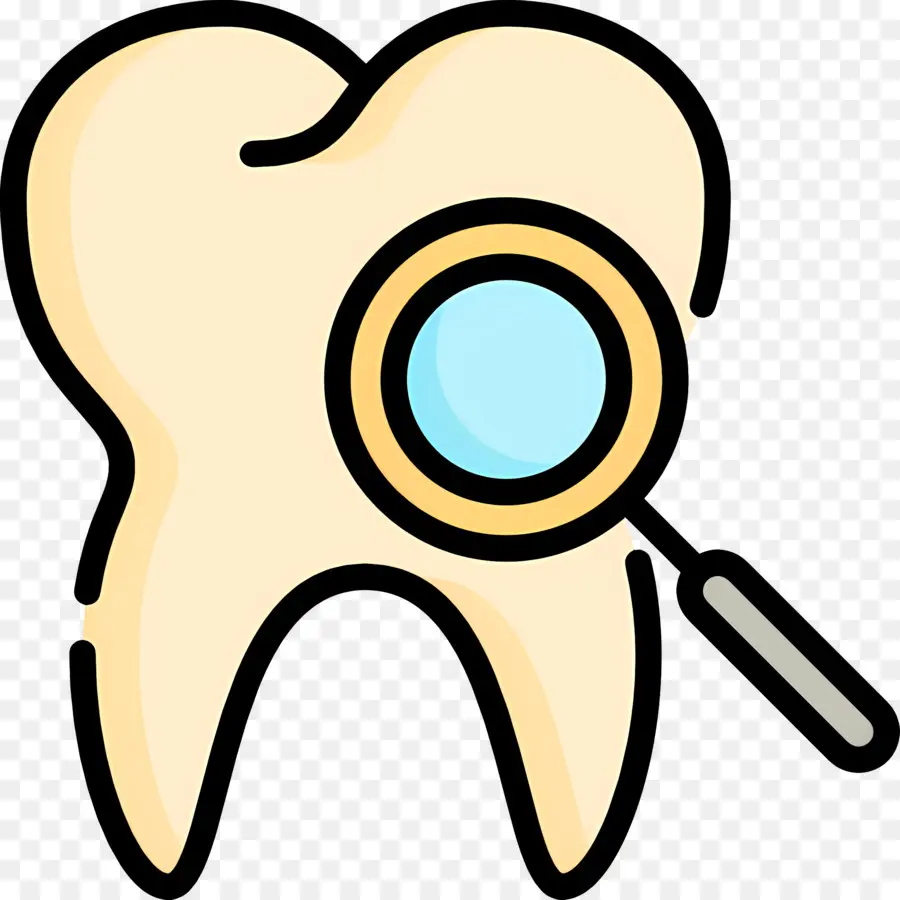 Vérification Des Dents，Dent PNG