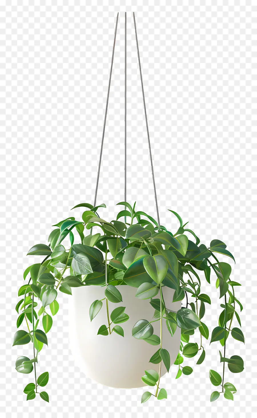 Plante En Pot Suspendue，Plante Suspendue PNG