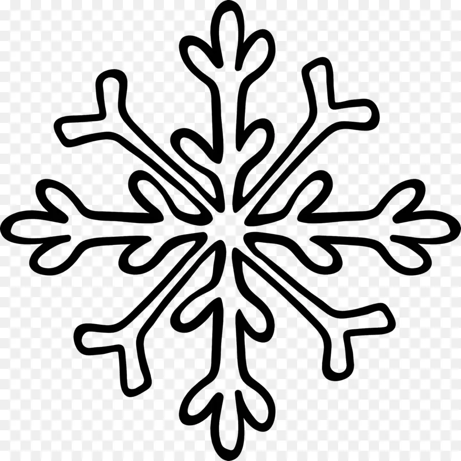 Flocon De Neige，Hiver PNG