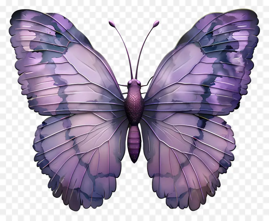 Papillon Violet，Ailes PNG