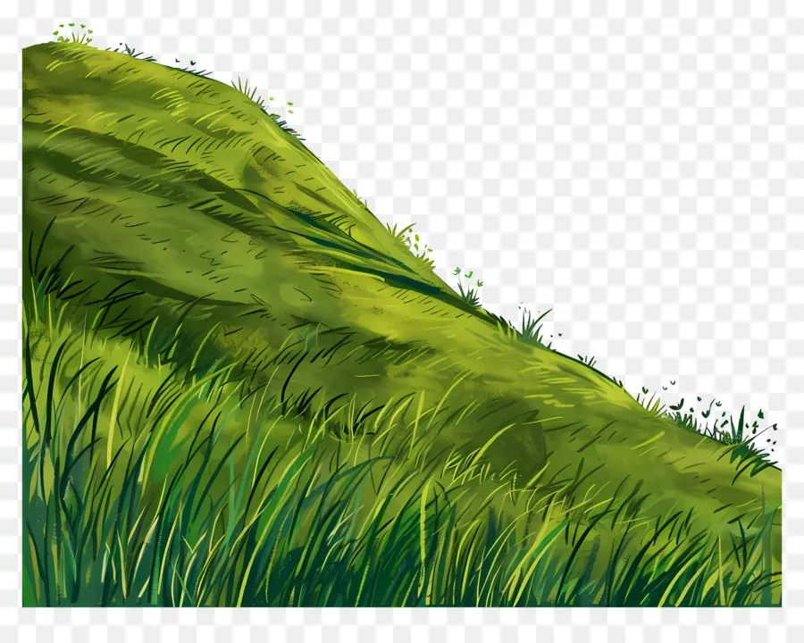 Pente En Herbe，Colline D'herbe PNG