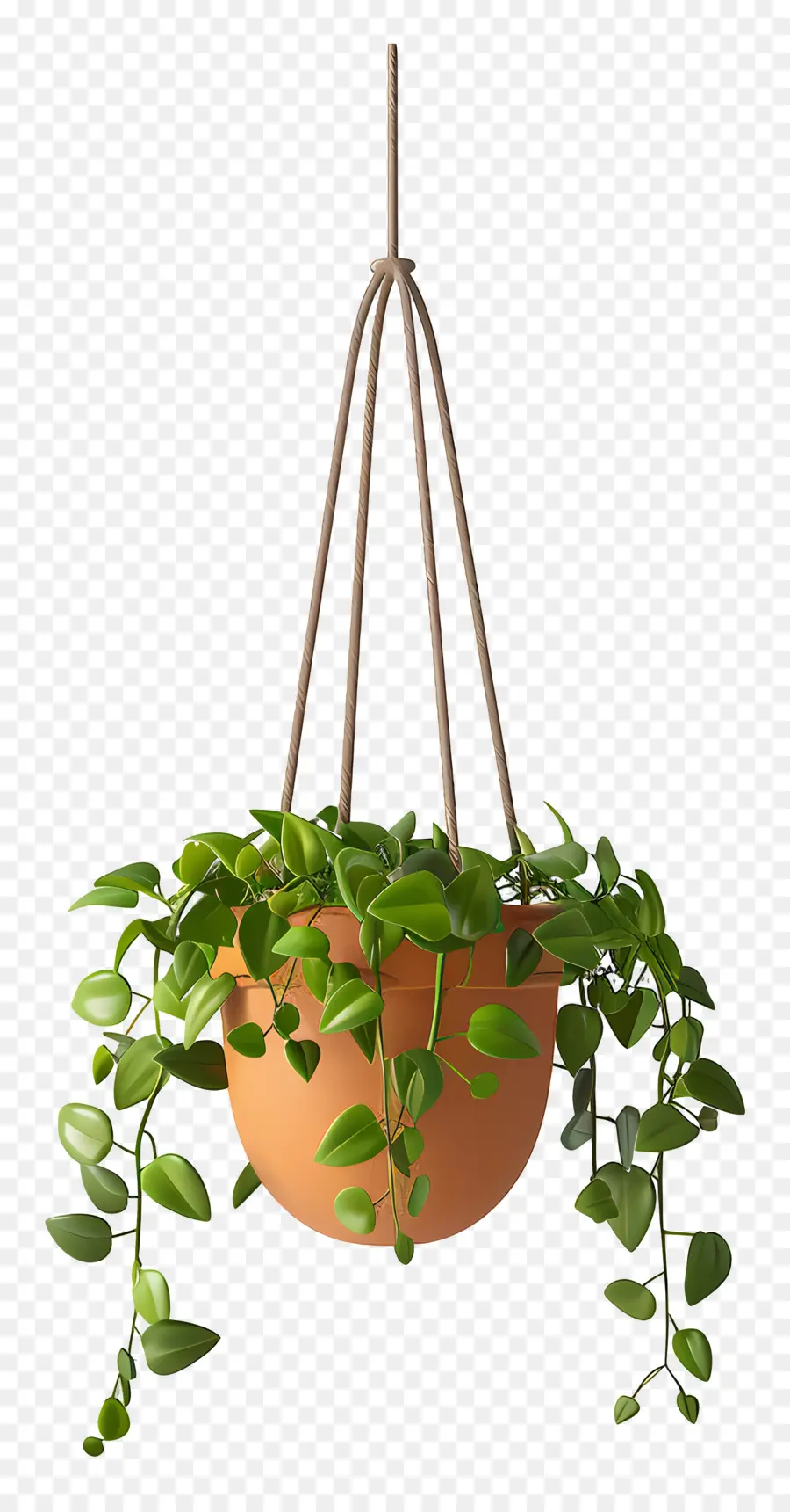 Plante En Pot Suspendue，Plante Suspendue PNG