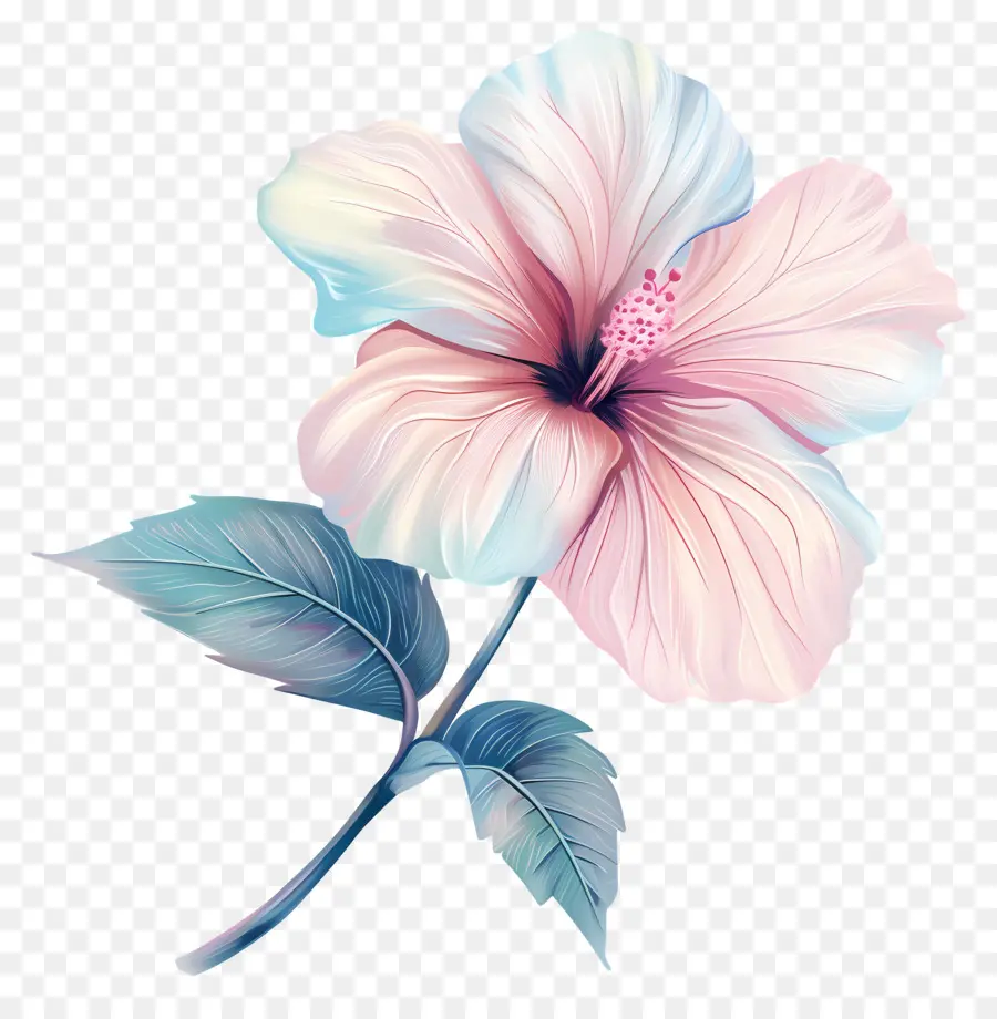 Fleur Pastel，Fleur D'hibiscus PNG