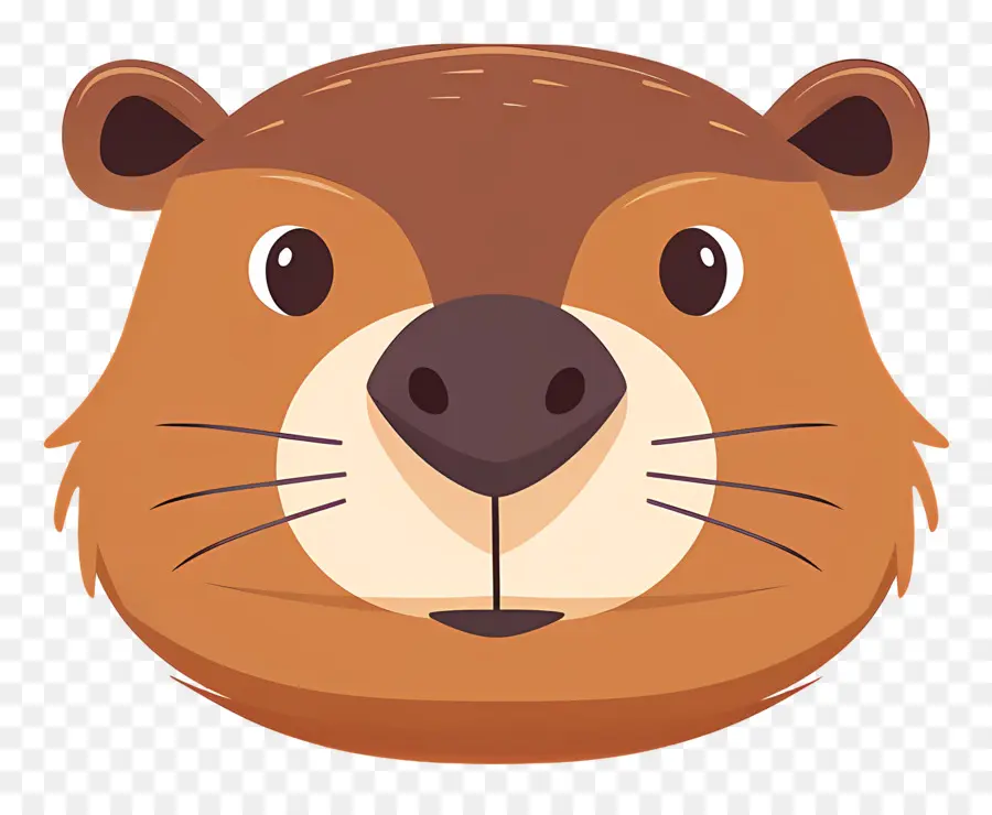 Visage De Castor，Visage De Loutre PNG