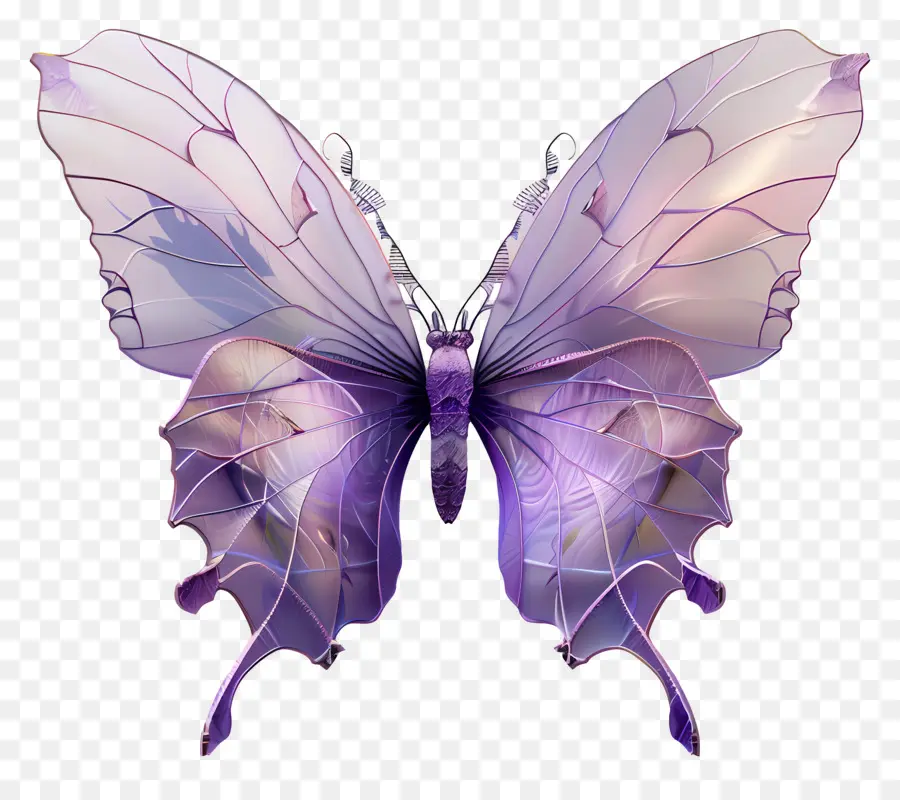 Papillon Violet，Papillon Bleu PNG