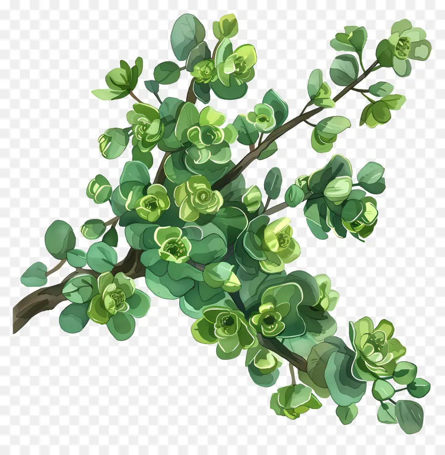 Fleurs Vertes，Plante Verte PNG