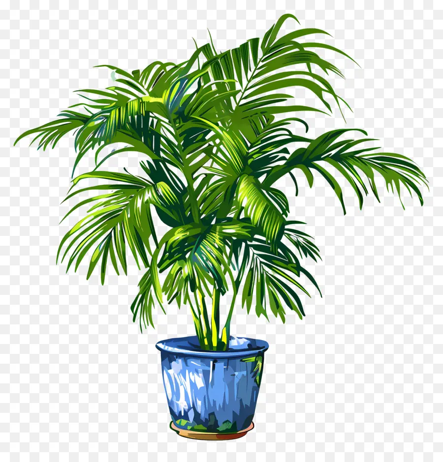 Palmier De Salon，Plante Verte En Pot PNG