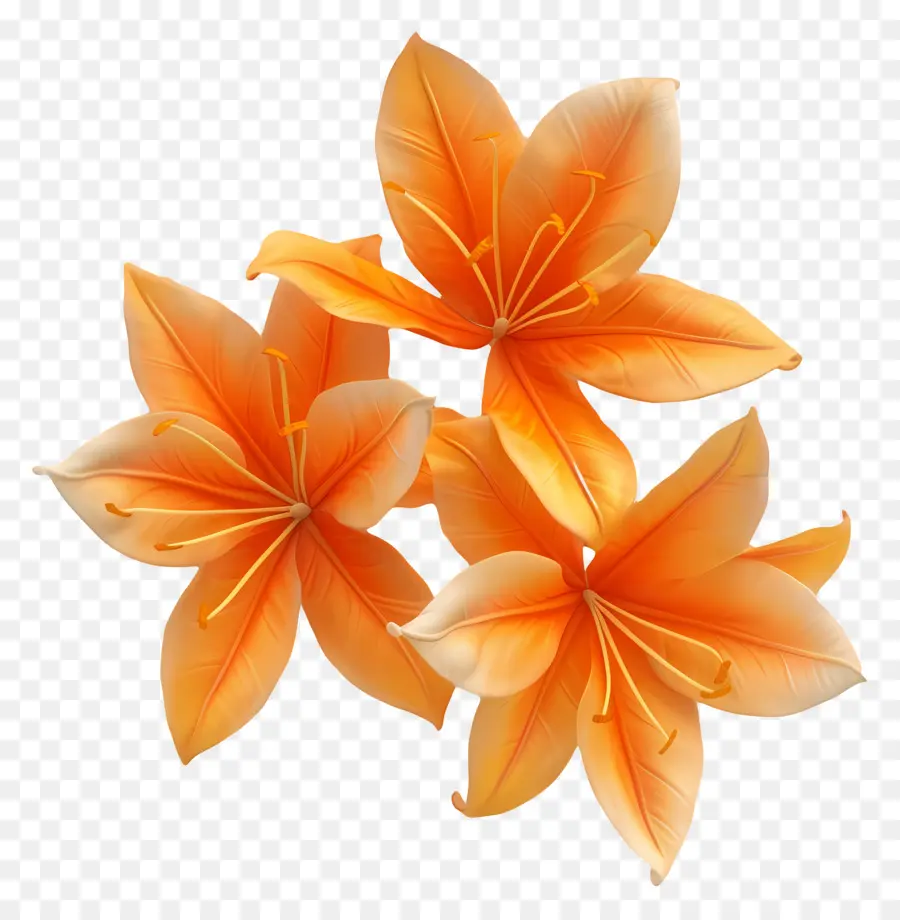 Fleurs De Safran，Fleurs Oranges PNG