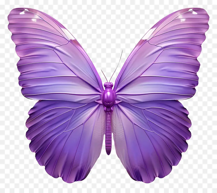 Papillon Violet，Ailes PNG