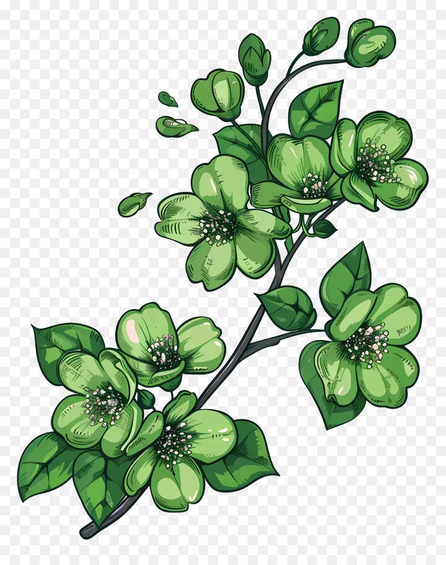 Fleur Verte，Fleurs Vertes PNG