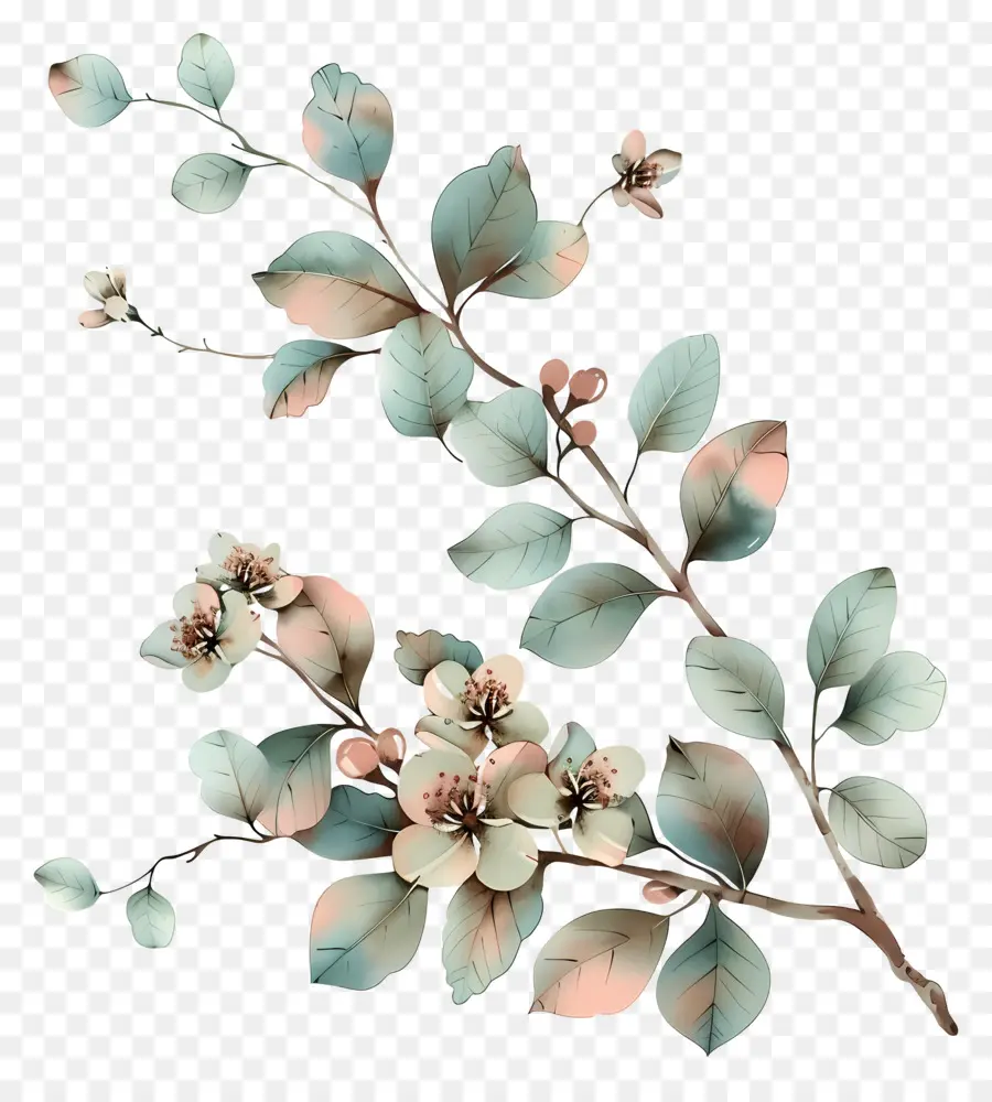 Fleurs Pastel，Fleur PNG