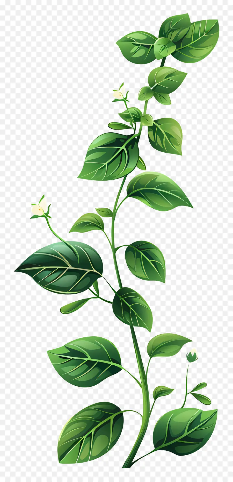 Fleurs Vertes，Plante Verte PNG