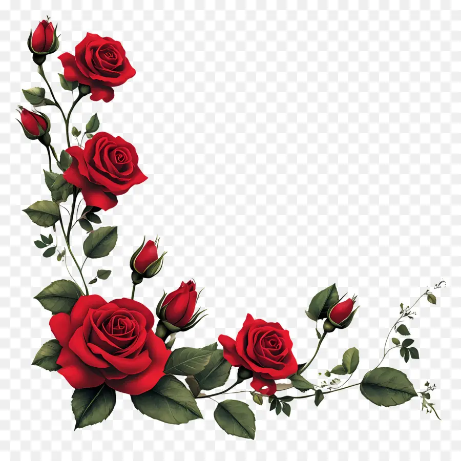 Rose，Roses Rouges PNG