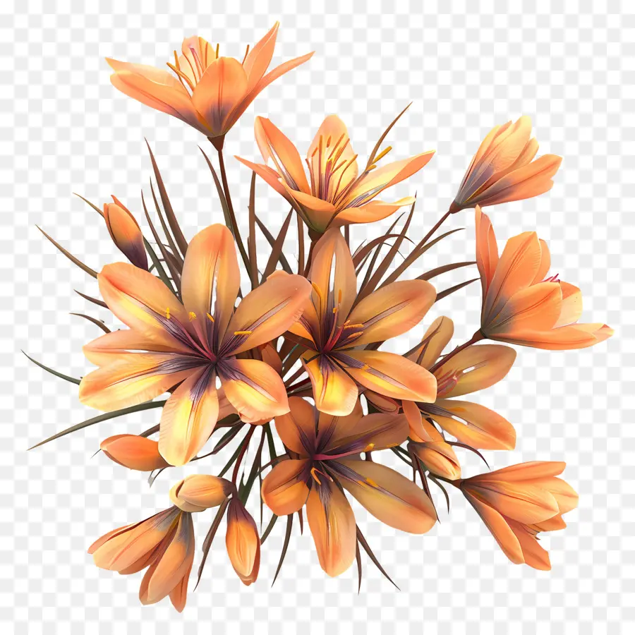 Fleurs De Safran，Fleurs PNG