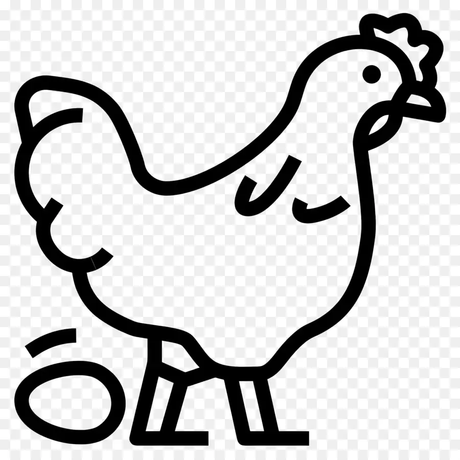 Poulet，Poule PNG