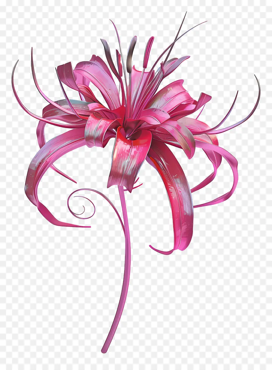 Lys Araignée，Fleur Rose PNG