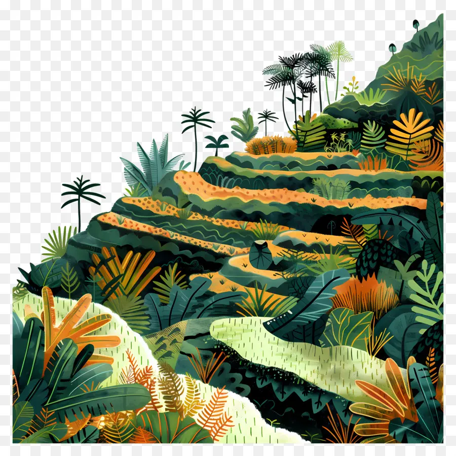 Champs En Terrasses，Plantes PNG