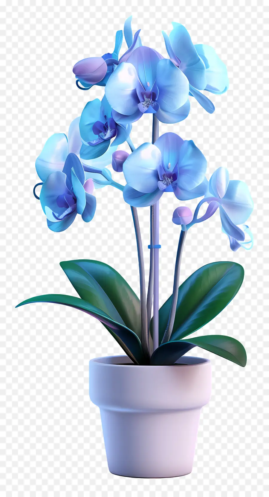 Orchidée Bleue，Fleur PNG