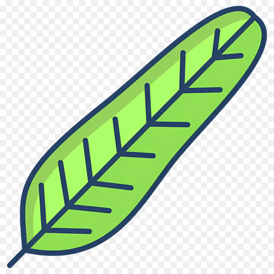 Feuille De Bananier，Feuille Verte PNG