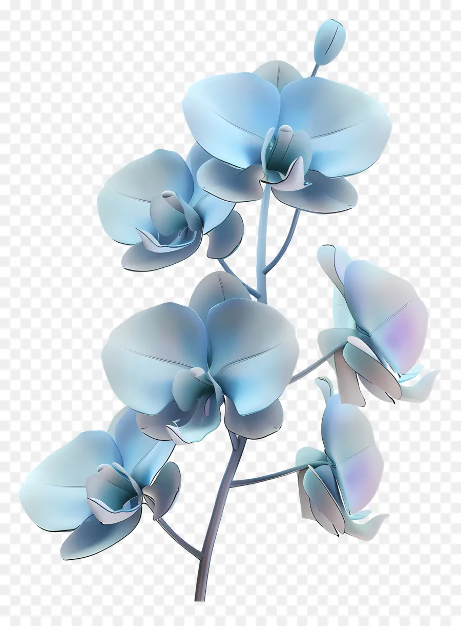 Orchidée Bleue，Pétales PNG