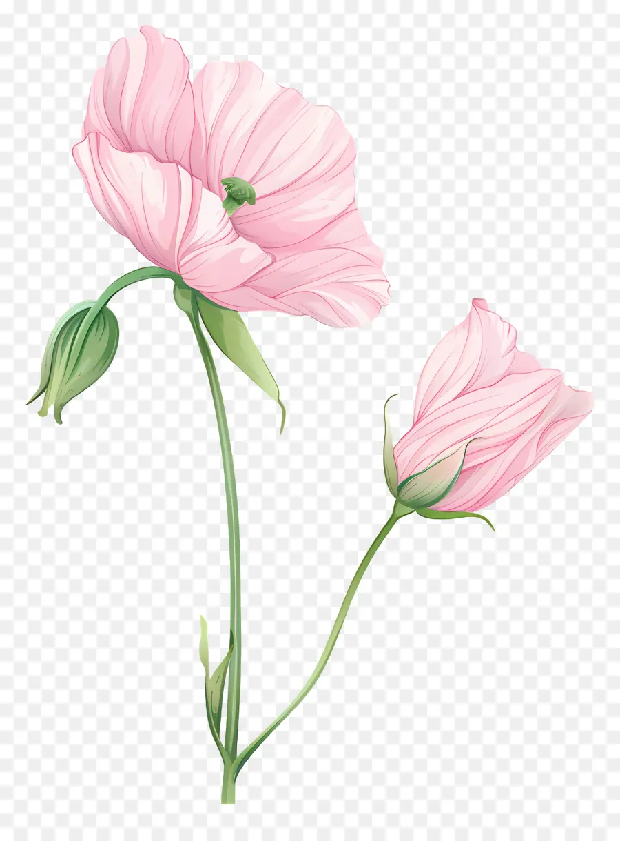 Fleurs Pastel，Fleurs Roses PNG