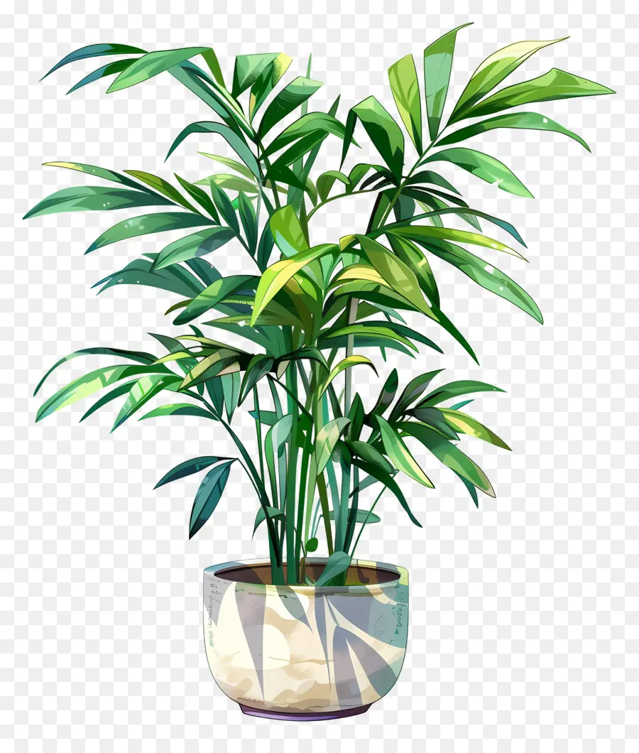 Palmier De Salon，Plante Verte En Pot PNG