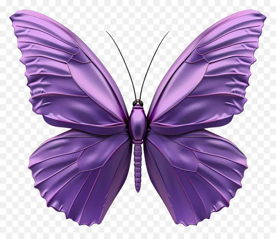 Papillon Violet，Ailes PNG