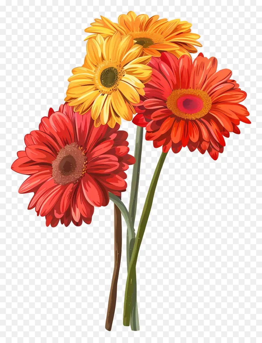 Fleurs De Gerberas，Fleurs Oranges PNG