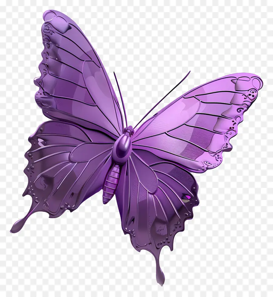 Papillon Violet，Ailes PNG