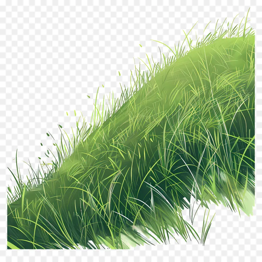 Pente En Herbe，Herbe Verte PNG